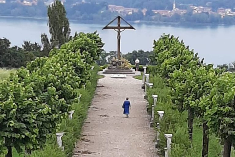 d117938d-2ba2-46cc-b65a-5ab7db840722-768x512