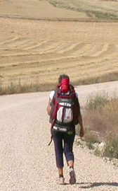 I “Custodi della Via” di Sant’Agostino pronti per la Messa papale a Monza