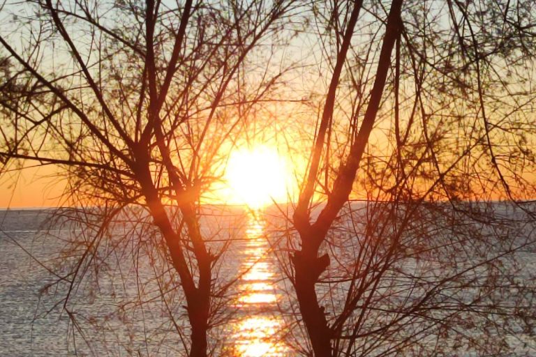 tutela-minori-7-immagine-768x512