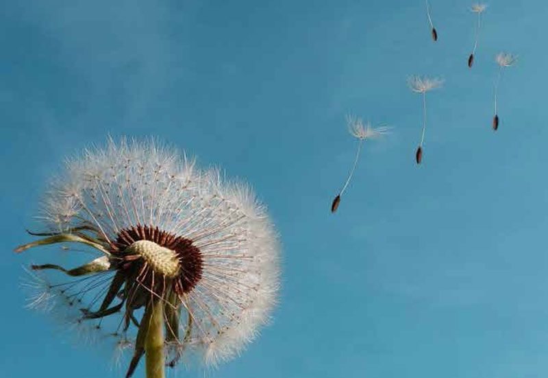 Convegno diocesano famiglie missionarie a km0