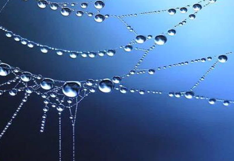 Reti Generative a sostegno della Bellezza dell’umano