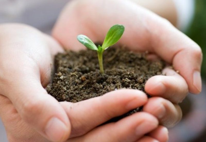 Laudato Sì – Da casa mia alla casa comune