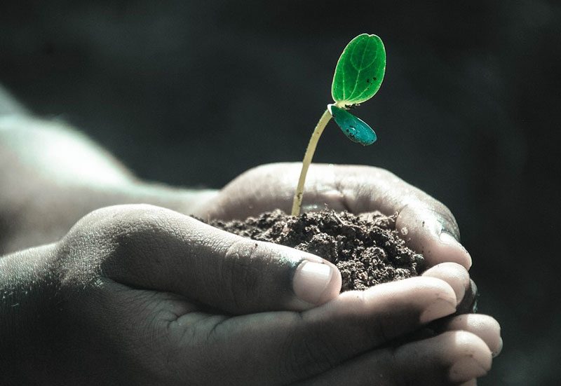 Viviamo di una VITA ricevuta