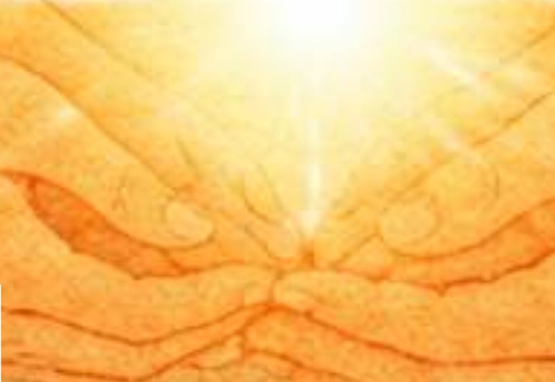 GIORNATA_DI_ANIMAZIONE_FAMILIARE-MILANO_8febbraio2026