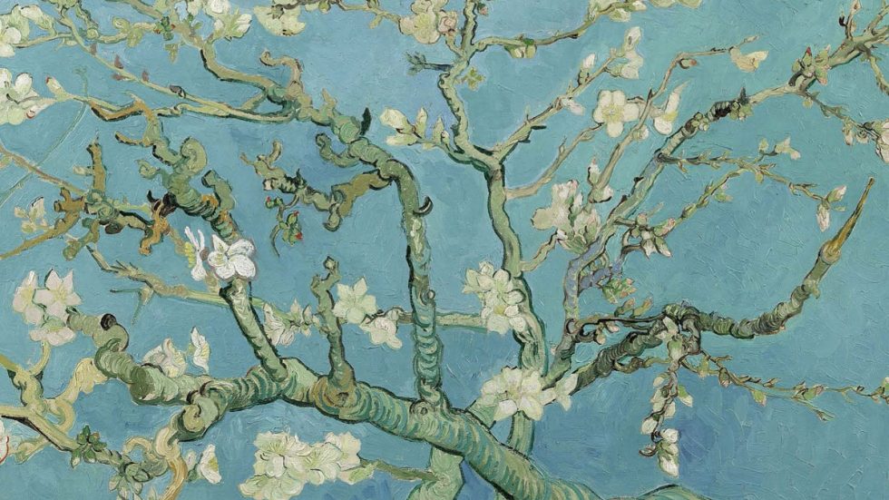 Vincent van Gogh - Almond blossom (wikimedia commons)