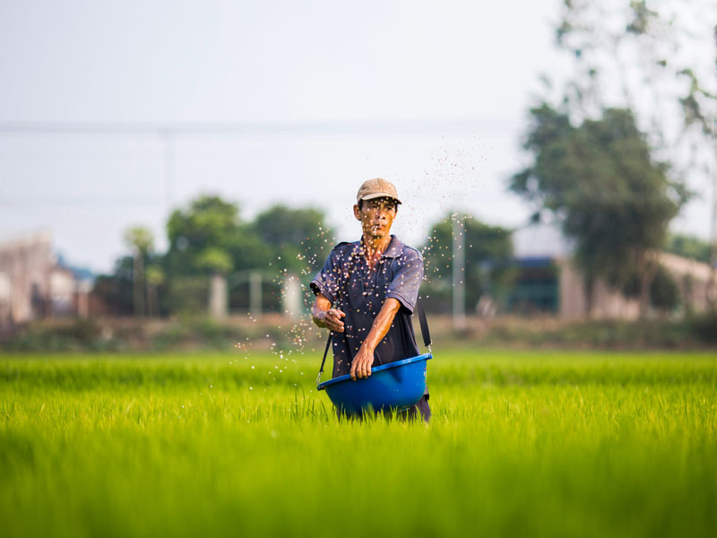 Foto di Dương Trí su Unsplash