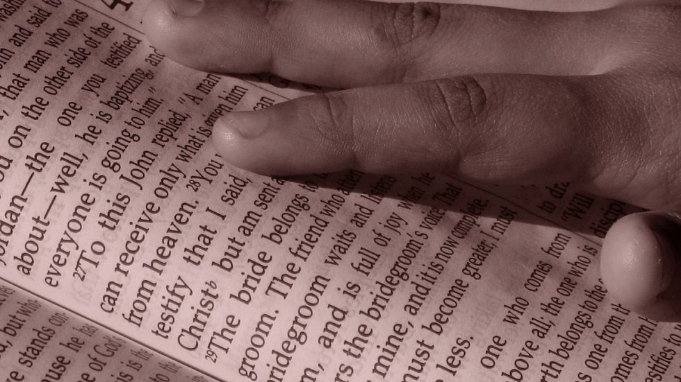 Foto di Pedro Ivo Pereira Vieira Pedin da Pixabay