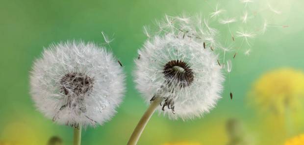 image-2026-02-27T145834.482