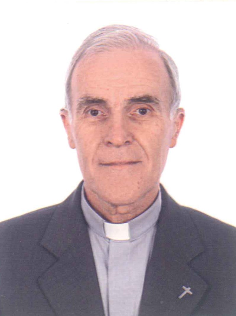  P. Giulio Gaetano Binaghi