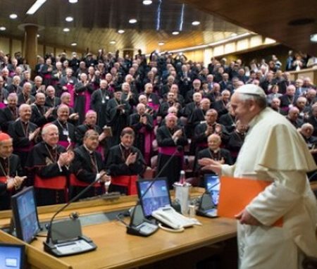 Gli interventi di papa Francesco <br>al Sinodo della Famiglia