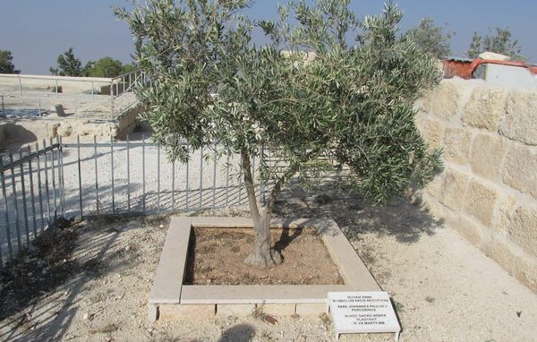 I Custodi del Nebo: <br>«Dio è fedele alle sue promesse»