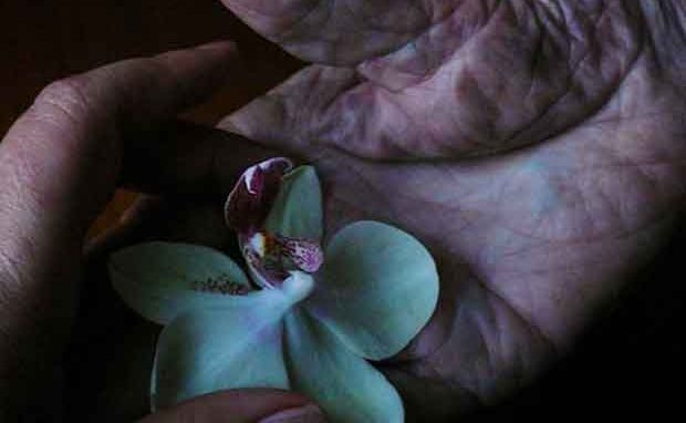 Condividere per moltiplicare <br>Quale solidarietà per un’ecologia umana?