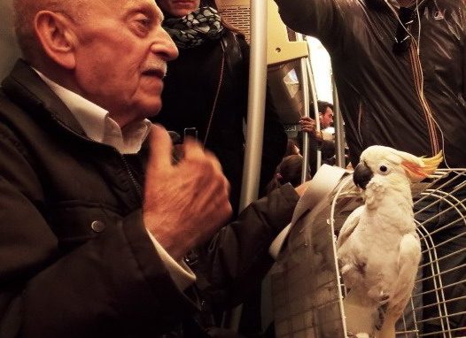 Cinquantamila senzatetto. Fondi per aiutarli