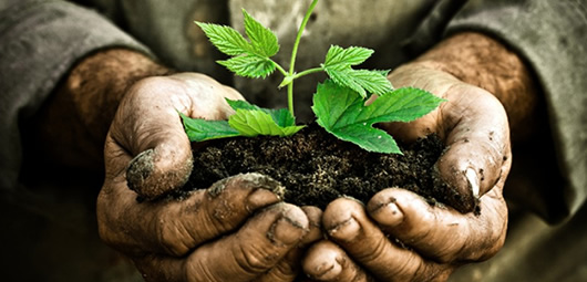 “Terra e Cibo”, <br>diritti umani ed esigenze di giustizia