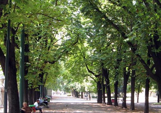 Gli altruisti adottano il parco di corso Venezia