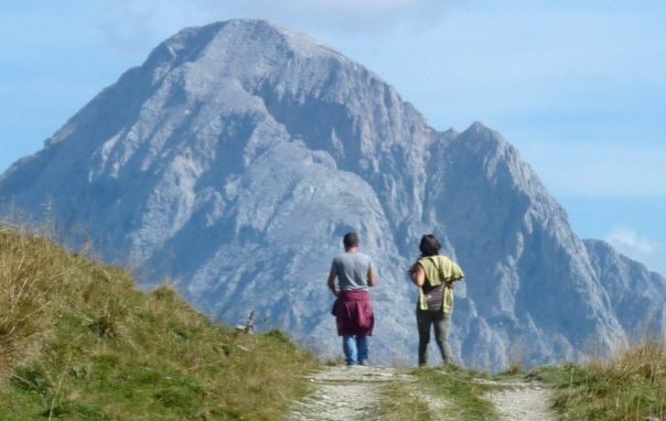 Papa Francesco: la cura della casa comune  «nuova opera di misericordia»