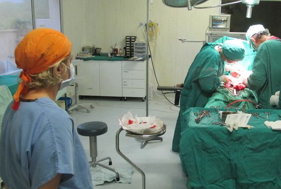 Il miracolo della vita in Africa