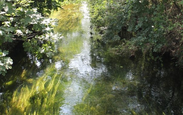 Teatro e musica nella Valle dei Monaci