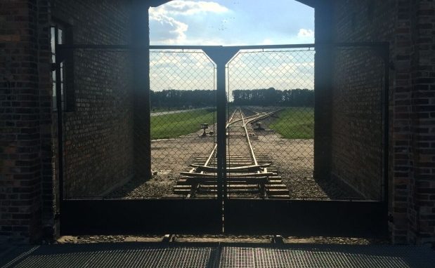 «Gli sfregi sul volto della Madonna Nera <br>e il male assoluto di Auschwitz»