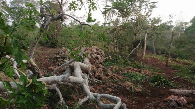 Un fidei donum ad Haiti: «Presi in pieno, danni ingenti»