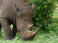 La testimonianza di una giovane volontaria in Zambia L’AFRICA DI MARIA