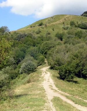 Preti in montagna: alla scoperta dei monti dell’erbese