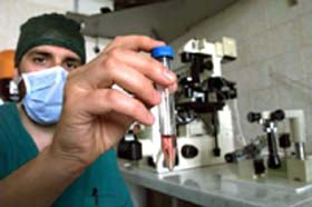 Legge sulla procreazione medicalmente assistita VERSO IL REFERENDUM