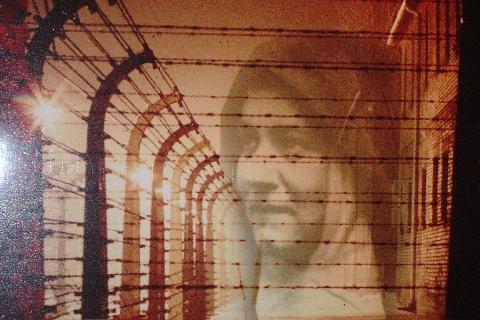 Edith Stein, martire e santa UN MODELLO PER I GIOVANI