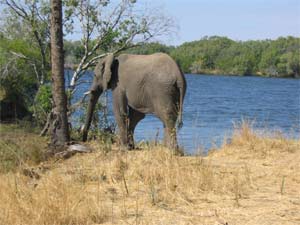Venerdì 12 agosto IN GITA SUL FIUME ZAMBESI