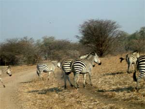 Mercoledì 17 agosto COME NEL PARADISO TERRESTRE