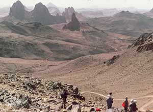 «VOGLIO GRIDARE IL VANGELO CON TUTTA LA MIA VITA»