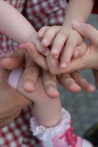 Cav ambrosiano I NOSTRI PROGETTI