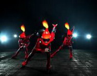 La cerimonia d’inaugurazione SUGGESTIONI TRA FUOCO E GHIACCIO