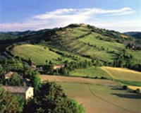 Una storia lunga tre generazioni FIGLI DELL’ITALIA CONTADINA E ORGOGLIOSI DI ESSERLO