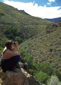 L’ospitalità religiosa in Lombardia