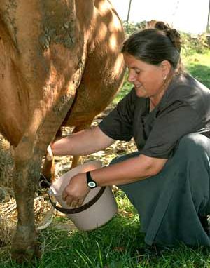 Chiesa e finanza alternativa CARITAS, AL FIANCO DEI DEBOLI ANCHE CON IL MICROCREDITO