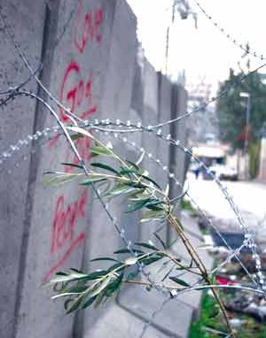 Israele e Autorit&agrave; palestinese UNA SITUAZIONE DI STALLO