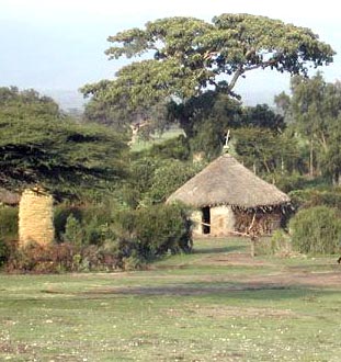 Aspettando Loreto SOLIDARIETÀ PER L’ETIOPIA: UN GEMELLAGGIO CON EMBEDER