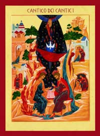 Gesti e simboli per la famiglia