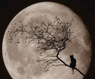 La Luna 40 anni dopo: il fascino non si è esaurito