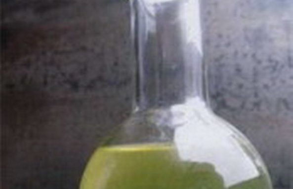 I giovani e il profumo della vita