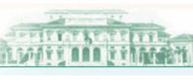 L’assistenza spirituale nelle cure palliative: interpretazioni e risposte