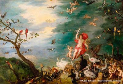 Attività per bambini dai 5 agli 11 anni