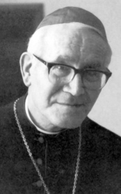 Carlo Colombo, <br>dal Seminario al Vaticano II