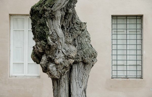 Le opere «in cammino» dei giovani artisti