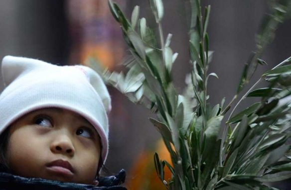 Con gli ulivi verso la Pasqua