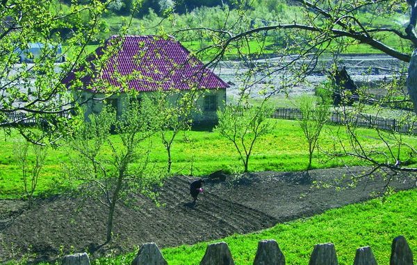 Diritto al cibo, i volontari <br>vendono riso nelle piazze