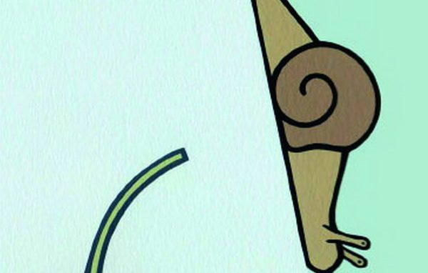 Il Coe porta l’Africa a Lecco