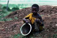 Cosa sono le microrealizzazioni?