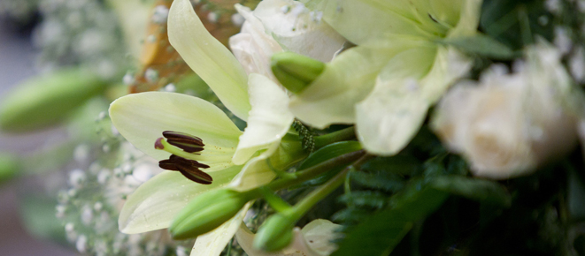 Sabato 17, concerto <br>di Primavera a Milano